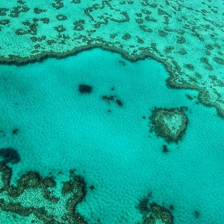Heart Of Airlie Beach Apartment المظهر الخارجي الصورة